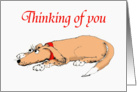 Thinking of you,Will you be home soon?, brown hound dog. card