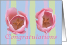 Two Pink tulips, Congratulations, new baby girl twins card