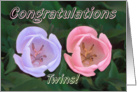 Congratulations, Twins boy ands girl, two tulips card