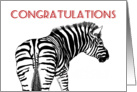 Zebra, congratulations, promotion, police card