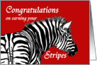 Congratulations on earning your stripes,Promotion, Zebra card