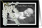 New baby, Pieris flowers, custom photo frame. card