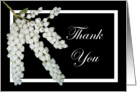 Thank you, Pieris flowers. card