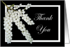Thank you for listening, Pieris flowers. card