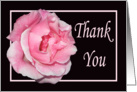 Thank you for listening, Pink rose card