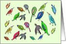 Happy Birthday , Many Birds card