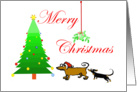 Merry Christmas,for ex husband, mistletoe, dachshunds, adult humor card