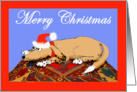 Merry Christmas, Brown dog on oriental mat. humor card