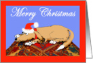 Merry Christmas,for daughter,Brown dog on oriental mat. humor card