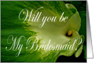 Will you be my Bridesmaid?for sister, Green Goddess Lily. card