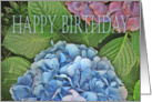 Happy Birthday, blue Hydrangea, card