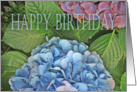 Happy Birthday, blue Hydrangea, for partner card