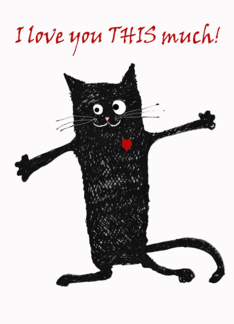 , crazy black cat, I...