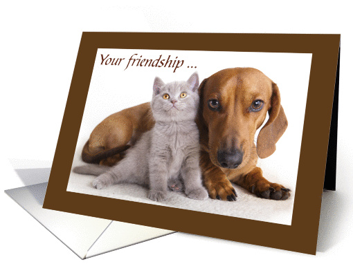 Dachshund and kitten,Your friendship means everything to me. card