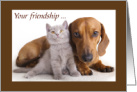 Dachshund and kitten,Your friendship means everything to me. card
