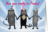 Invitation to party,cats.humor, party hats card