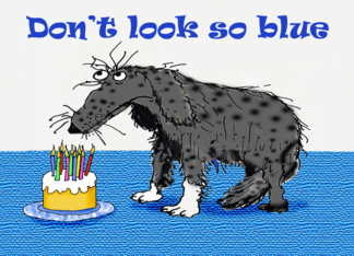 Blue Birthday, sad...