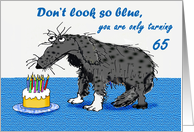 Happy Birthday, 65 th, sad dog and cake with candles.humor card