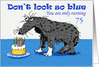 Happy Birthday, custom age card, sad dog and cake with candles.humor card