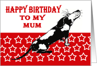 Happy Birthday,to Mum,sad black and white hound, from son card