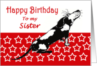 Happy Birthday,to my sister,sad black and white hound,from brother card