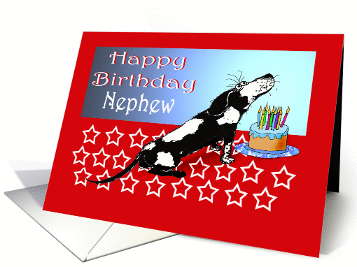Happy birthday, black and white dog, cake,candles.to nephew card
