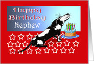 Happy birthday, black and white dog, cake,candles.to nephew card