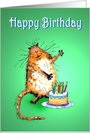 Happy Birthday , crazy cat and cake and candles card