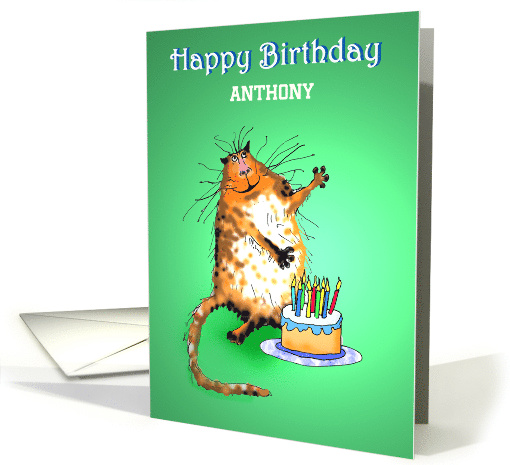 Happy Birthday , crazy cat and cake and candles, custom... (1298648)