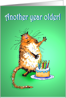 Happy Birthday , another year older, crazy cat,for girlfriend card