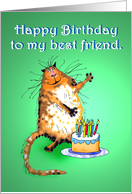 Happy Birthday to my best friend, crazy cat, card