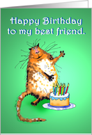 Happy Birthday to my best friend, crazy cat,For boyfriend card