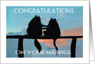 Congratulations on...