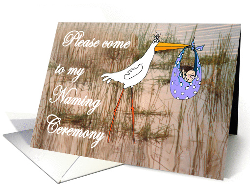 Invitation to Naming Ceremony for boy, stork and baby. card (1305242)
