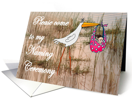 Invitation to Naming Ceremony for girl, stork and baby. card (1305244)