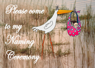 Invitation to Naming Ceremony for girl, stork and baby.