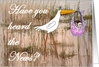 Have you heard the news? for girl, stork and baby. card