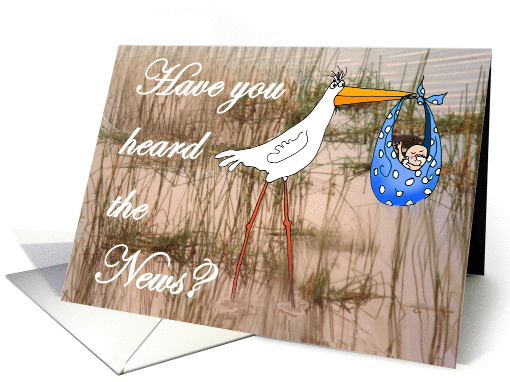 Have you heard the news? for boy, stork and baby. card (1305248)