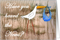 Have you heard the news? for boy, stork and baby. card