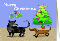 Merry Christmas, Doggies Christmas,Risque. card