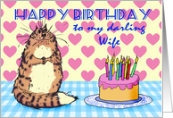 Happy Birthday,To my darling Wife, cat, cake and candles, card