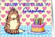 Happy Birthday, Grandma, cat, cake and candles, card