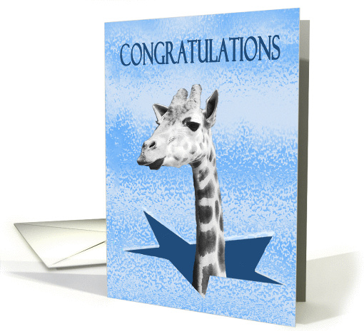 Congratulations on breaking glass ceiling, giraffe. card (1306754)