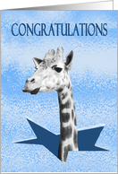 Congratulations on breaking glass ceiling, giraffe. card