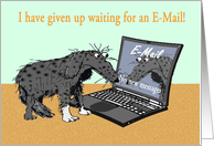Waiting for e-mail Hello. sad dog and laptop.humor. card