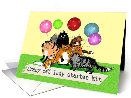 Crazy cat lady starter kit, cats and balloons, humor. card (1307696)