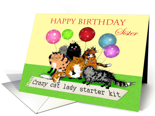 Happy Birthday Sister, Crazy cat lady starter kit, cats, humor. card