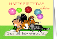 Happy Birthday Sister, Crazy cat lady starter kit, cats, humor. card