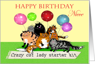 Happy Birthday Niece, Crazy cat lady starter kit, cats, humor. card