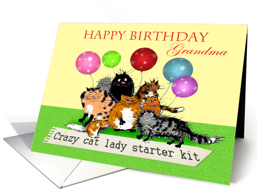 Happy Birthday Grandma, Crazy cat lady starter kit, cats, humor. card